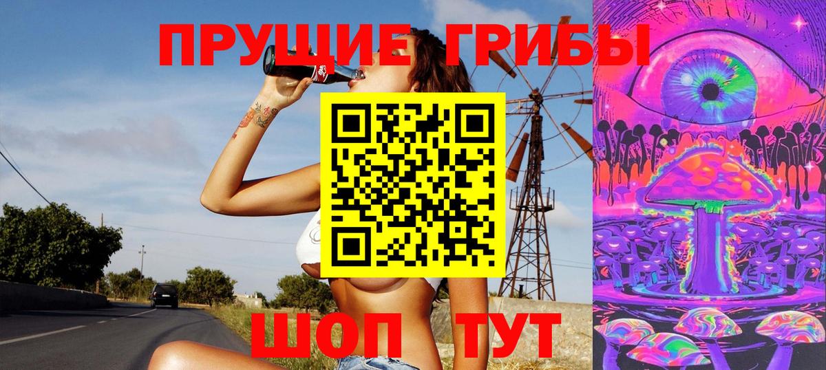 Майкоп  Псилоцибиновые грибы MAGIC MUSHROOMS  Псилоцибиновые грибы GOLDEN TEACHER  Вход с VPN 